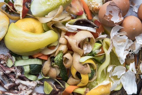 Como aproveitar os resíduos orgânicos no condomínio?